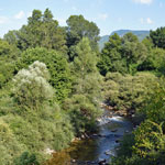 Ausblick von der Brücke