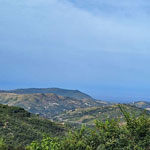 Immer grün, auch im August oder September - der Cilento Nationalpark