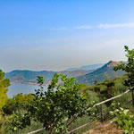 Blick vom Monte Tresino auf die Bucht von Castellabate