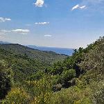 Wanderung im Cilento Nationalpark, von Pioppi nach Acciaroli