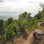 Weiter auf der Wanderung, nun Bergab, nach Acciaroli