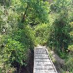 Die Wanderung durch das Naturschutzgebiet auf dem Monte Tresino